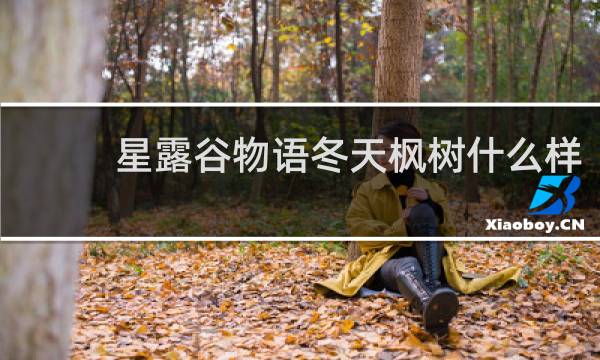 星露谷物语冬天枫树什么样