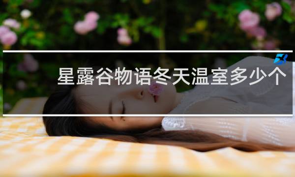 星露谷物语冬天温室多少个
