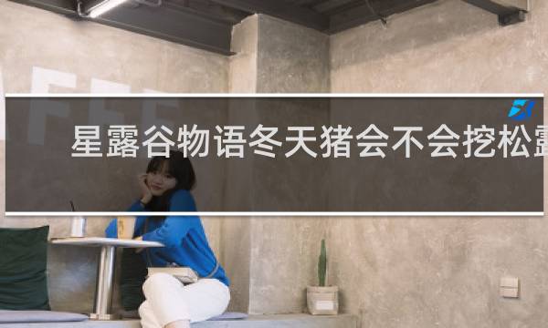 星露谷物语冬天猪会不会挖松露