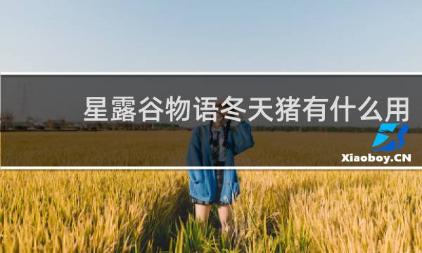 星露谷物语冬天猪有什么用