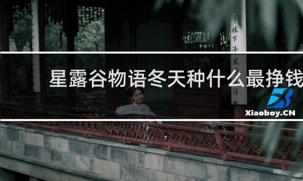 星露谷物语冬天种什么最挣钱