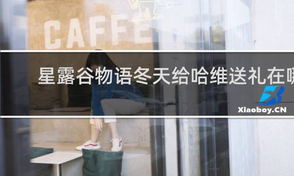 星露谷物语冬天给哈维送礼在哪