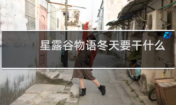 星露谷物语冬天要干什么