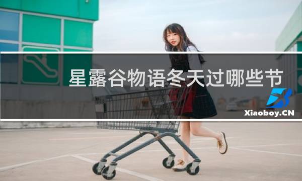 星露谷物语冬天过哪些节