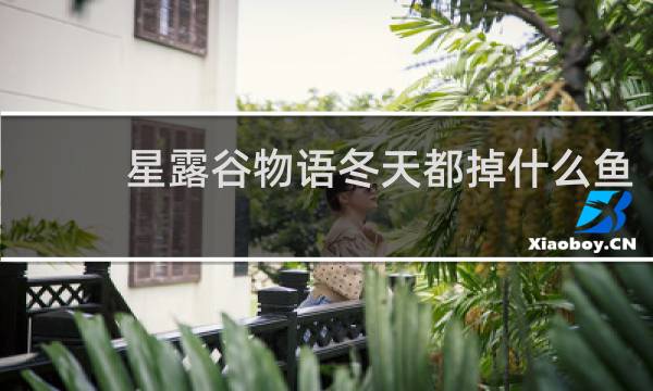 星露谷物语冬天都掉什么鱼
