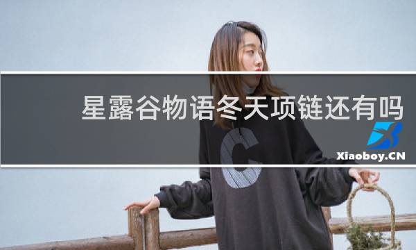 星露谷物语冬天项链还有吗