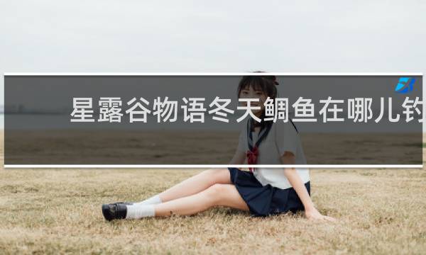 星露谷物语冬天鲷鱼在哪儿钓