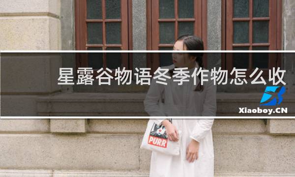 星露谷物语冬季作物怎么收