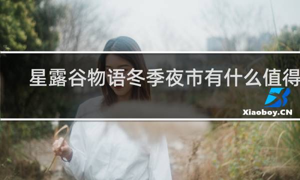 星露谷物语冬季夜市有什么值得买