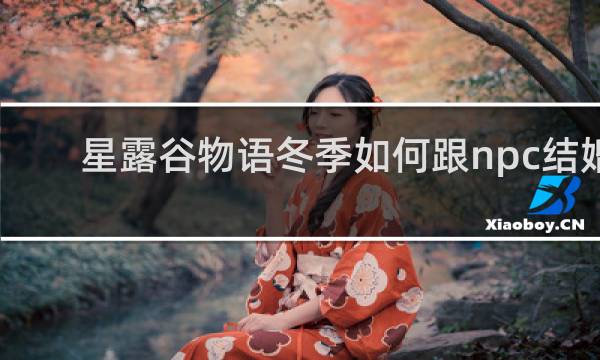 星露谷物语冬季如何跟npc结婚