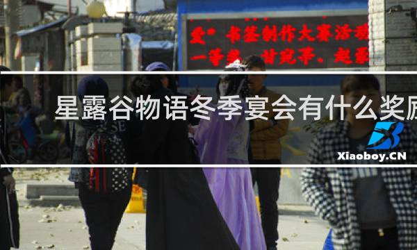 星露谷物语冬季宴会有什么奖励