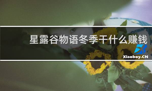 星露谷物语冬季干什么赚钱