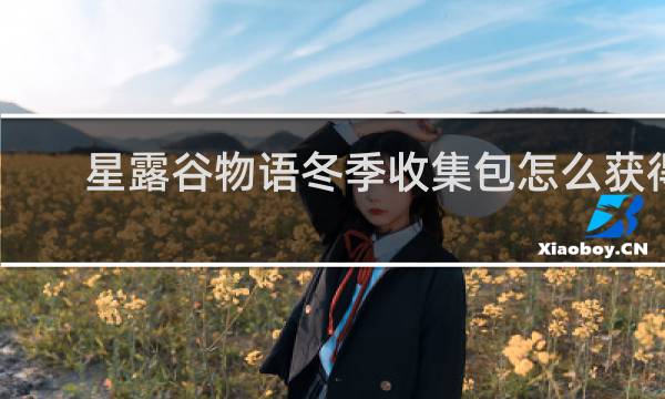 星露谷物语冬季收集包怎么获得