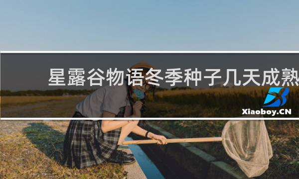 星露谷物语冬季种子几天成熟