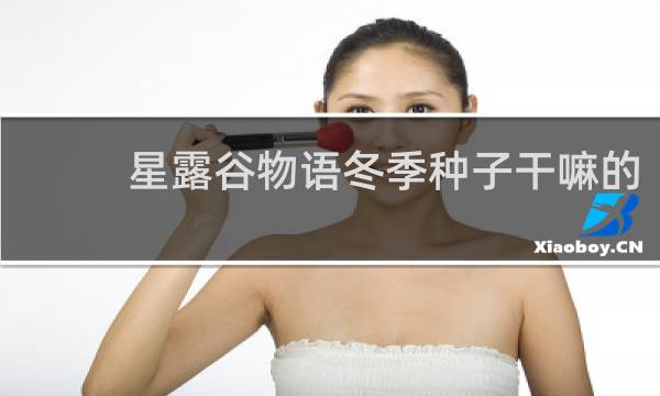 星露谷物语冬季种子干嘛的