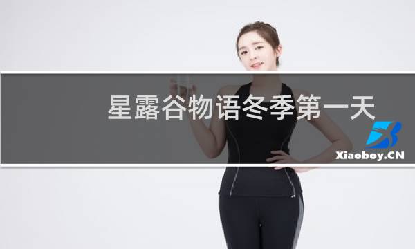 星露谷物语冬季第一天