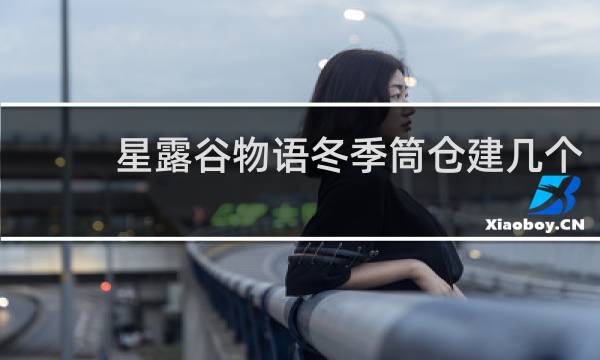 星露谷物语冬季筒仓建几个