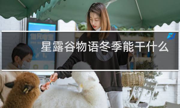 星露谷物语冬季能干什么