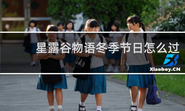 星露谷物语冬季节日怎么过