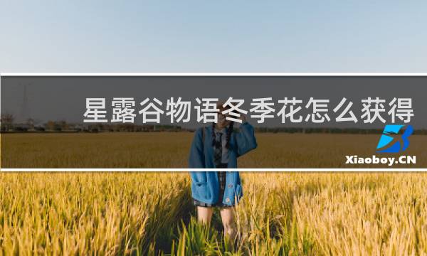 星露谷物语冬季花怎么获得