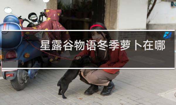 星露谷物语冬季萝卜在哪
