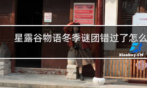 星露谷物语冬季谜团错过了怎么办