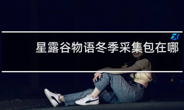 星露谷物语冬季采集包在哪
