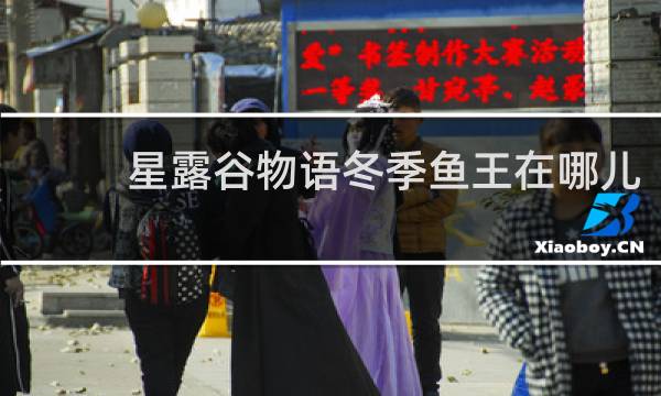星露谷物语冬季鱼王在哪儿