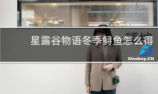 星露谷物语冬季鲟鱼怎么得