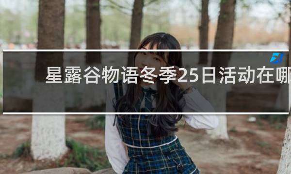 星露谷物语冬季25日活动在哪