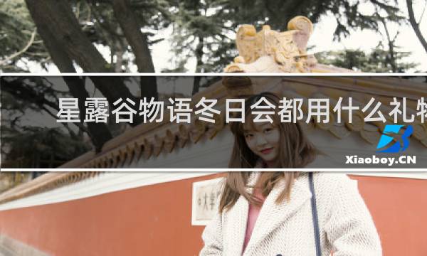 星露谷物语冬日会都用什么礼物