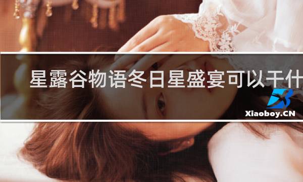 星露谷物语冬日星盛宴可以干什么