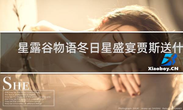 星露谷物语冬日星盛宴贾斯送什么