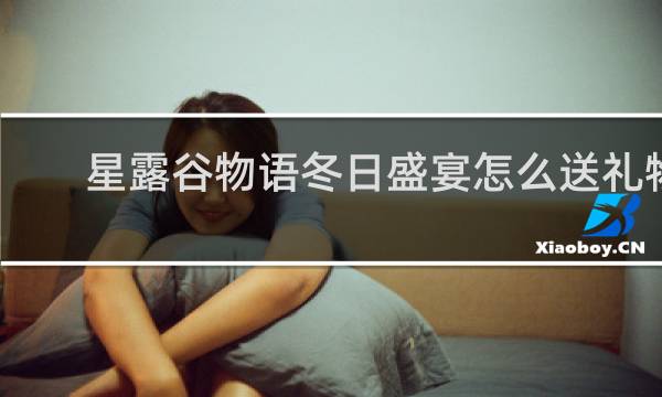 星露谷物语冬日盛宴怎么送礼物