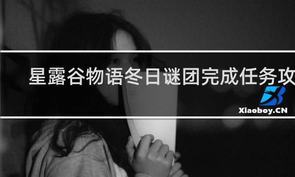 星露谷物语冬日谜团完成任务攻略