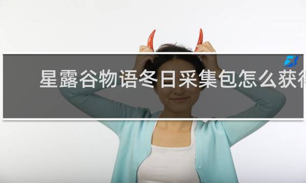 星露谷物语冬日采集包怎么获得