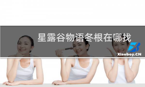 星露谷物语冬根在哪找
