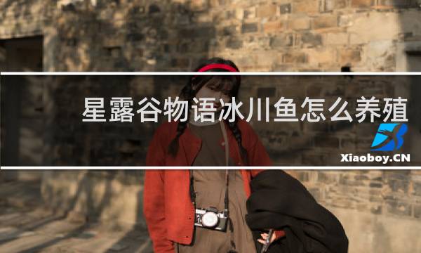星露谷物语冰川鱼怎么养殖