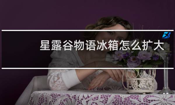 星露谷物语冰箱怎么扩大