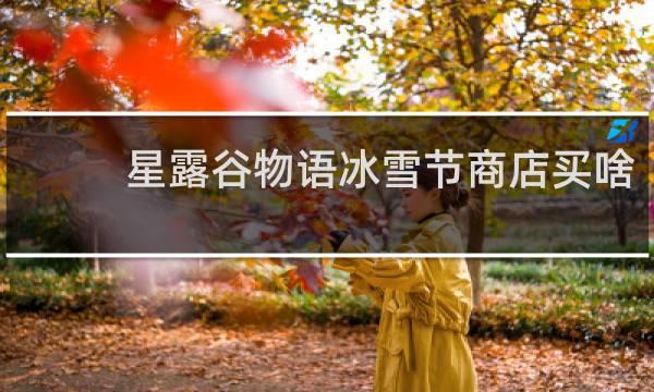 星露谷物语冰雪节商店买啥