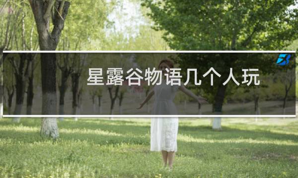 星露谷物语几个人玩