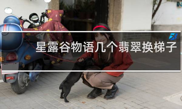 星露谷物语几个翡翠换梯子