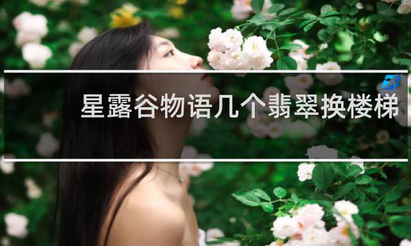 星露谷物语几个翡翠换楼梯