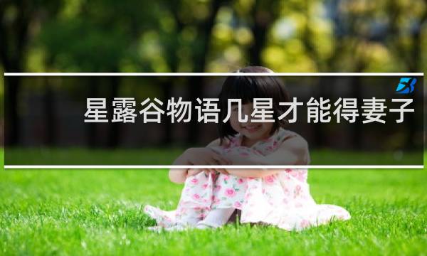 星露谷物语几星才能得妻子