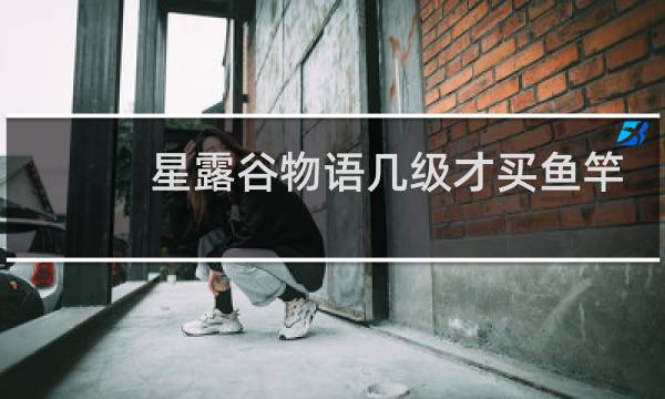 星露谷物语几级才买鱼竿