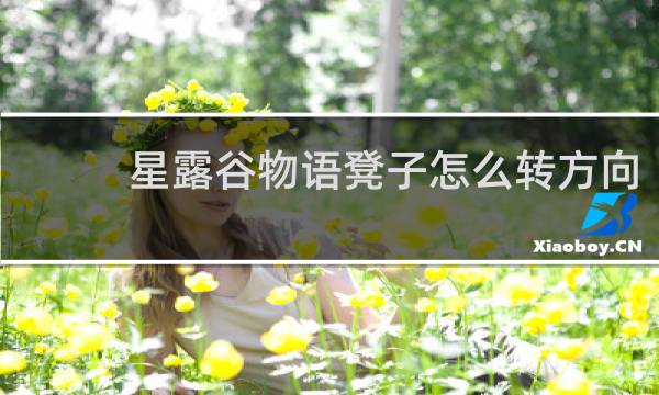 星露谷物语凳子怎么转方向