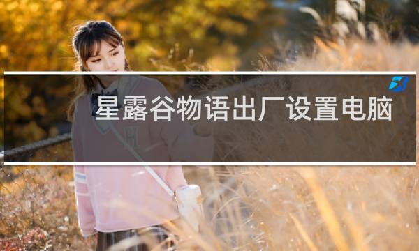 星露谷物语出厂设置电脑