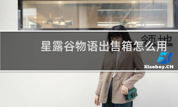 星露谷物语出售箱怎么用