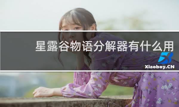 星露谷物语分解器有什么用