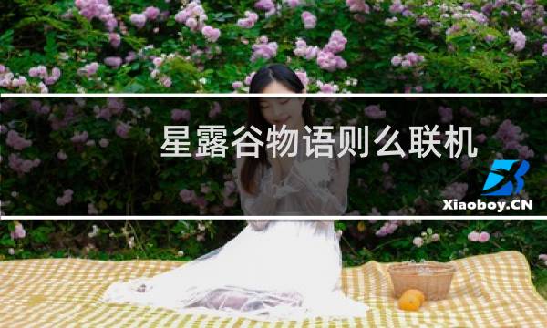 星露谷物语则么联机